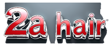 2a hair logo
